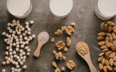 Alternatives gourmandes saines : quels snacks choisir pour remplacer les sucreries ?
